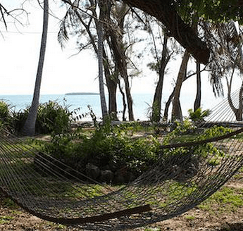 Laughing Bird Apartments