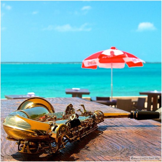 12936626_10208555616995332_311891086483263469_n